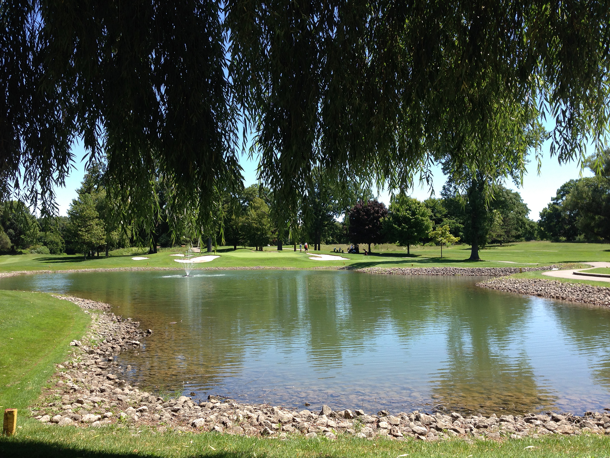 course through the willow tree